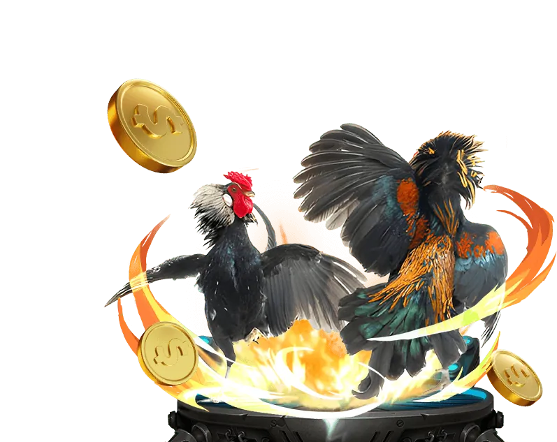 Các loại hình đá gà phổ biến tại Tỉ Phú 88