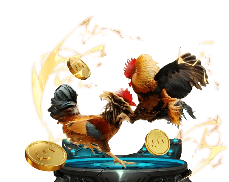 Mẹo và chiến lược cá cược đá gà hiệu quả